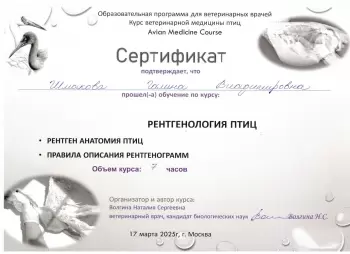 Сертификат сотрудника Шмакова Г.В.