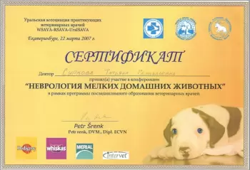 Сертификат сотрудника Суркова Т.Г.