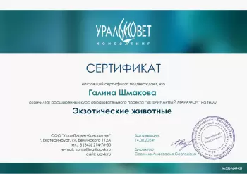 Сертификат сотрудника Шмакова Г.В.