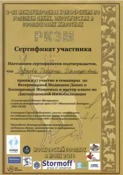 Сертификат сотрудника Суркова Т.Г.
