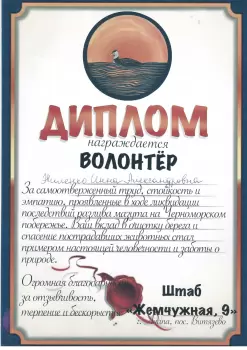 Сертификат сотрудника Жиленко И.А.