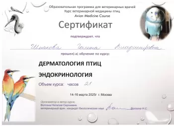 Сертификат сотрудника Шмакова Г.В.
