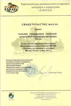 Сертификат сотрудника Суркова Т.Г.
