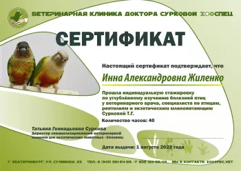 Сертификат сотрудника Жиленко И.А.