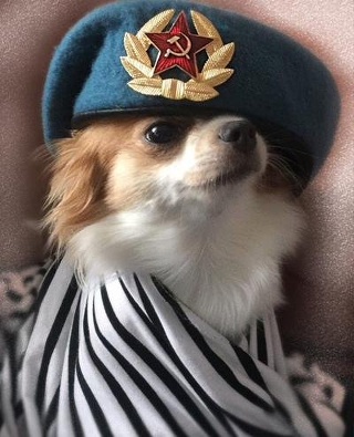 Ирина Алисовна