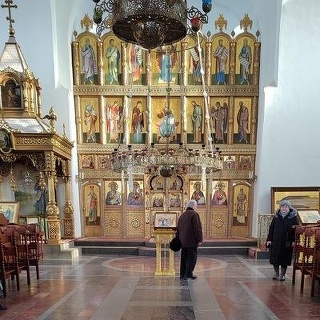 Лиса Лисова