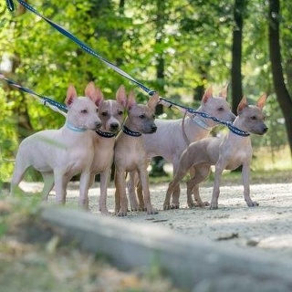 Юлия Кулешова