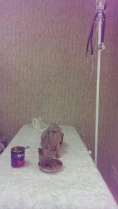 Фотография Доверие 5