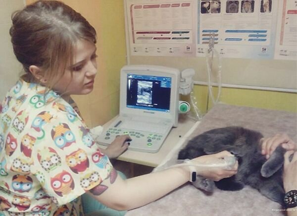 слайд