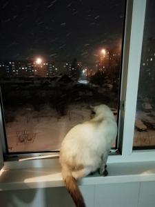 Фотография Ветеринарный кабинет 1