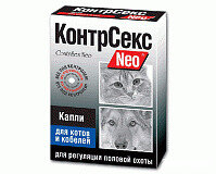 слайд