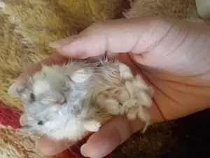 Фотография Ветеринарный кабинет 2