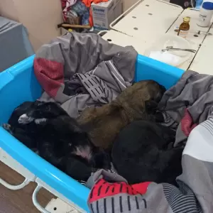 Фотография Ветеринарный кабинет 5