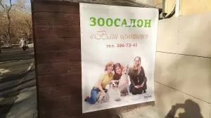 Фотография Ваш Чемпион 2